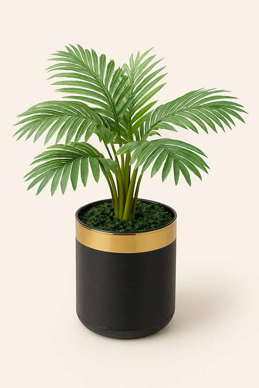 Elegant Fiber Planter with Imported Plant
